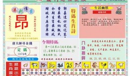 澳门最新爆料快报网,快报网独家揭秘热点事件